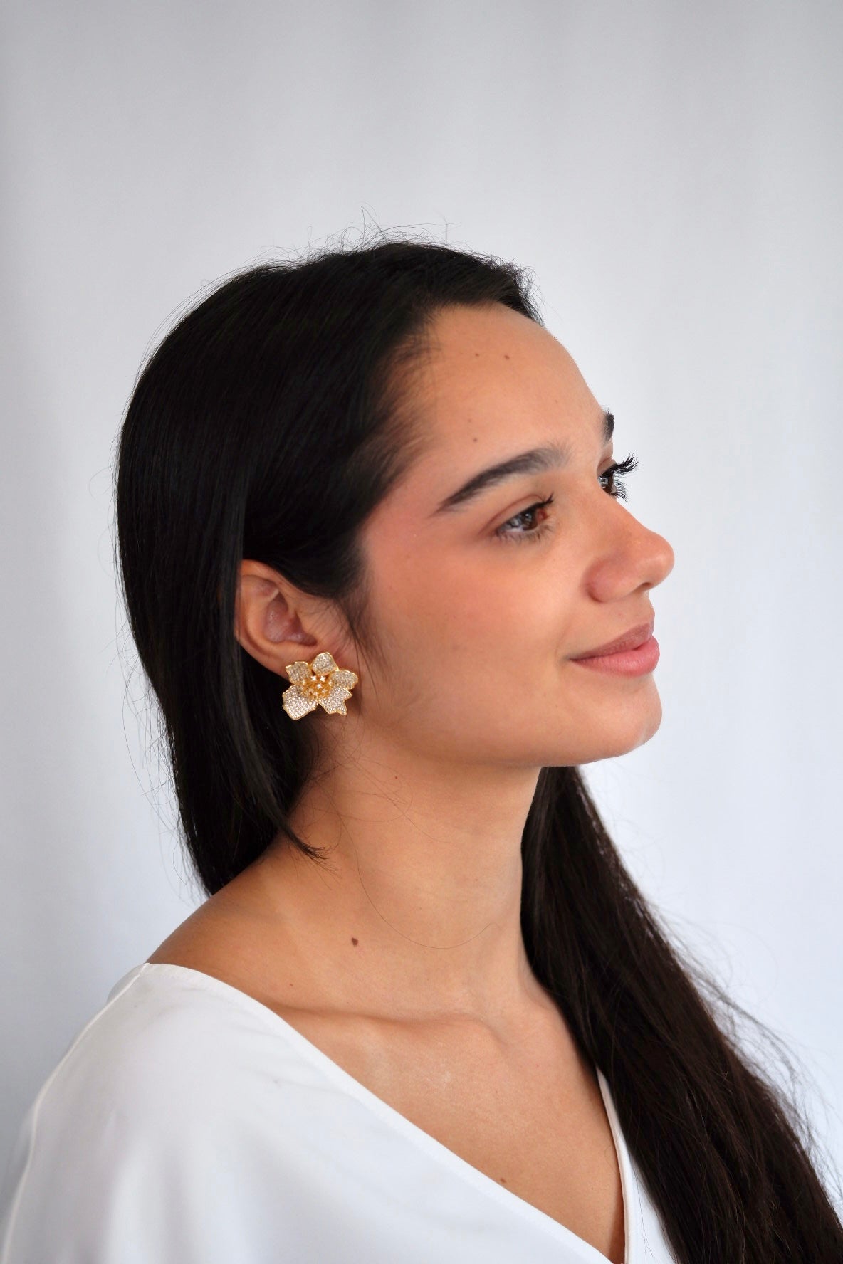 Aretes Francia