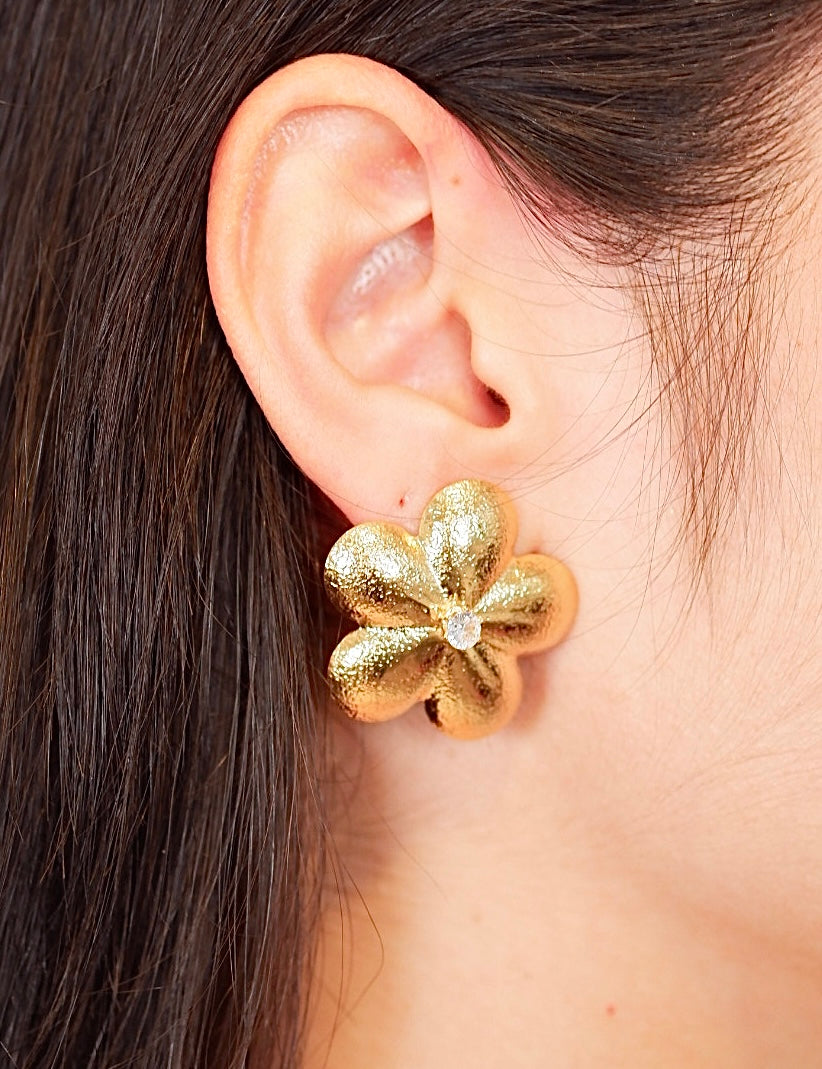 Aretes Leonor