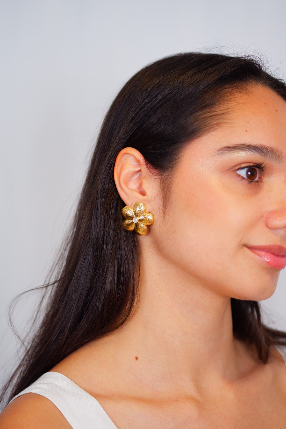 Aretes Leonor