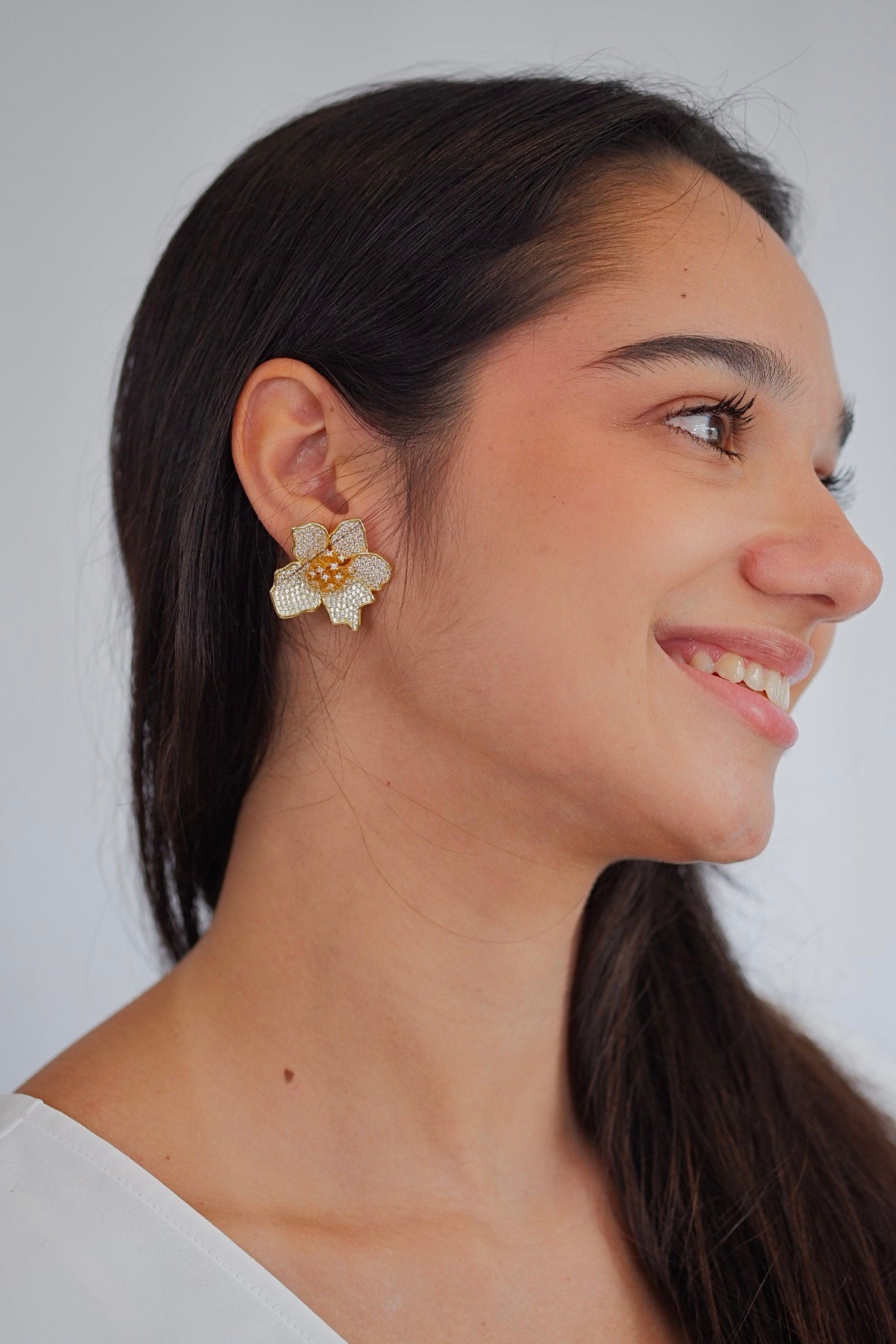Aretes Francia
