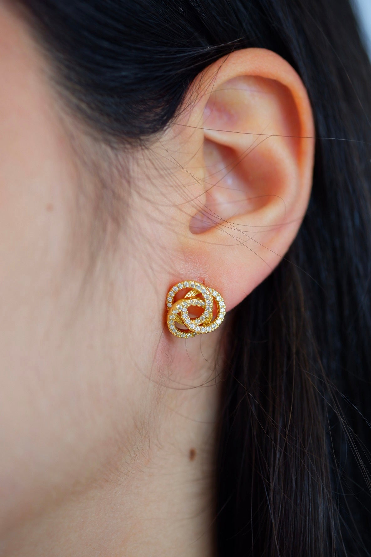 Aretes Merian