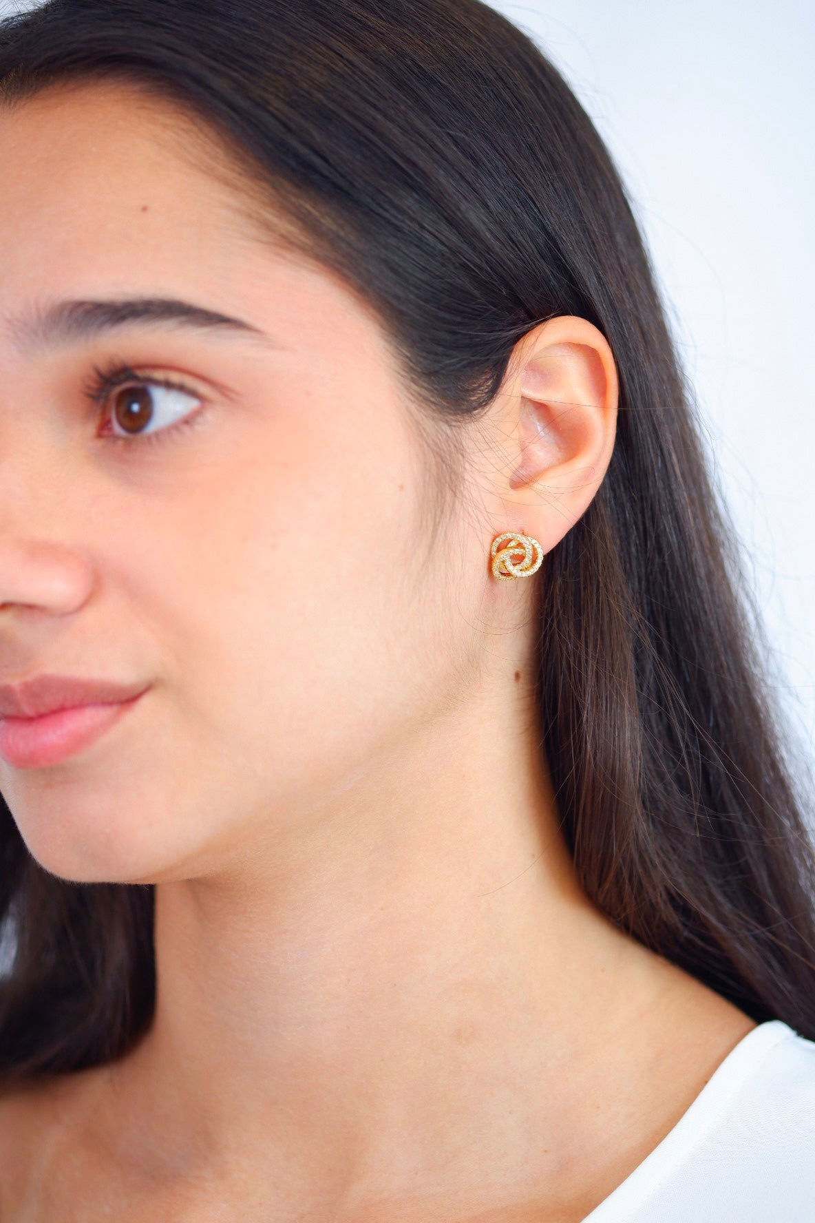 Aretes Merian