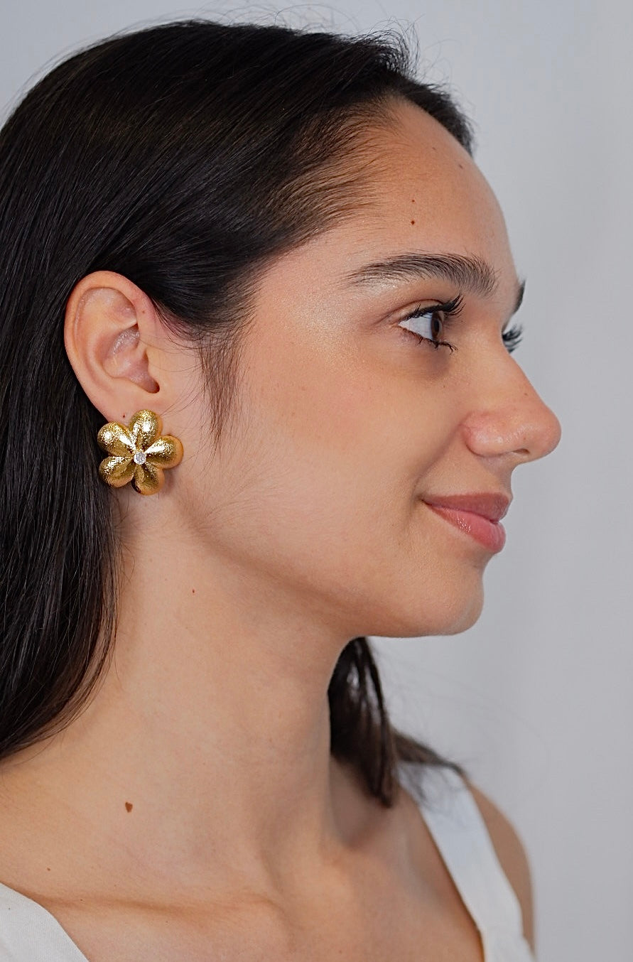 Aretes Leonor
