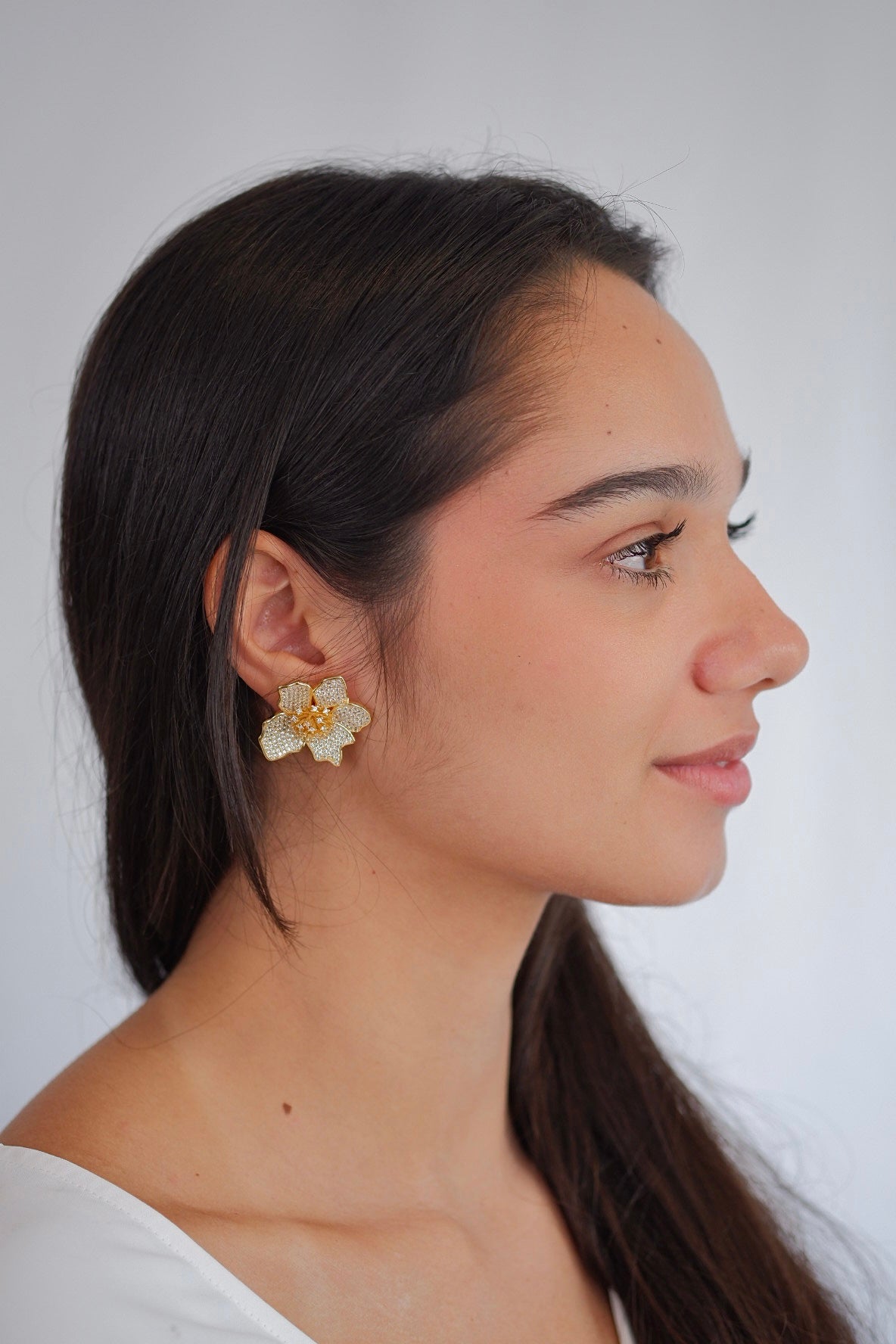 Aretes Francia