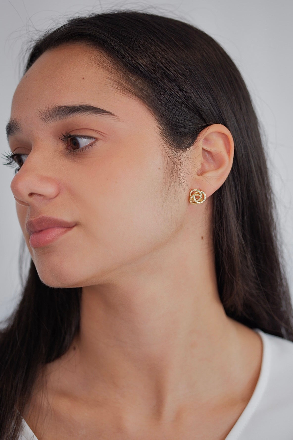Aretes Merian