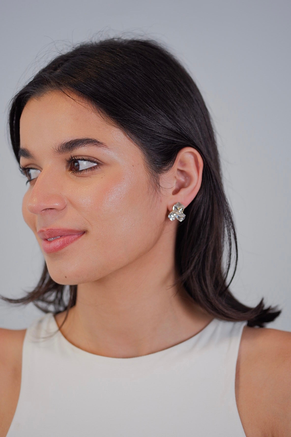 Aretes Damaris