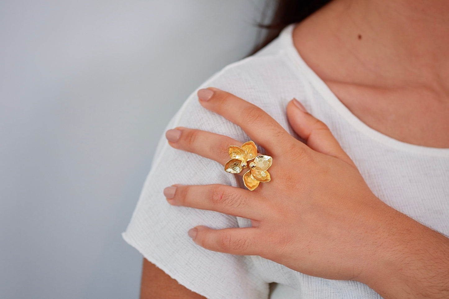Anillo Alexa