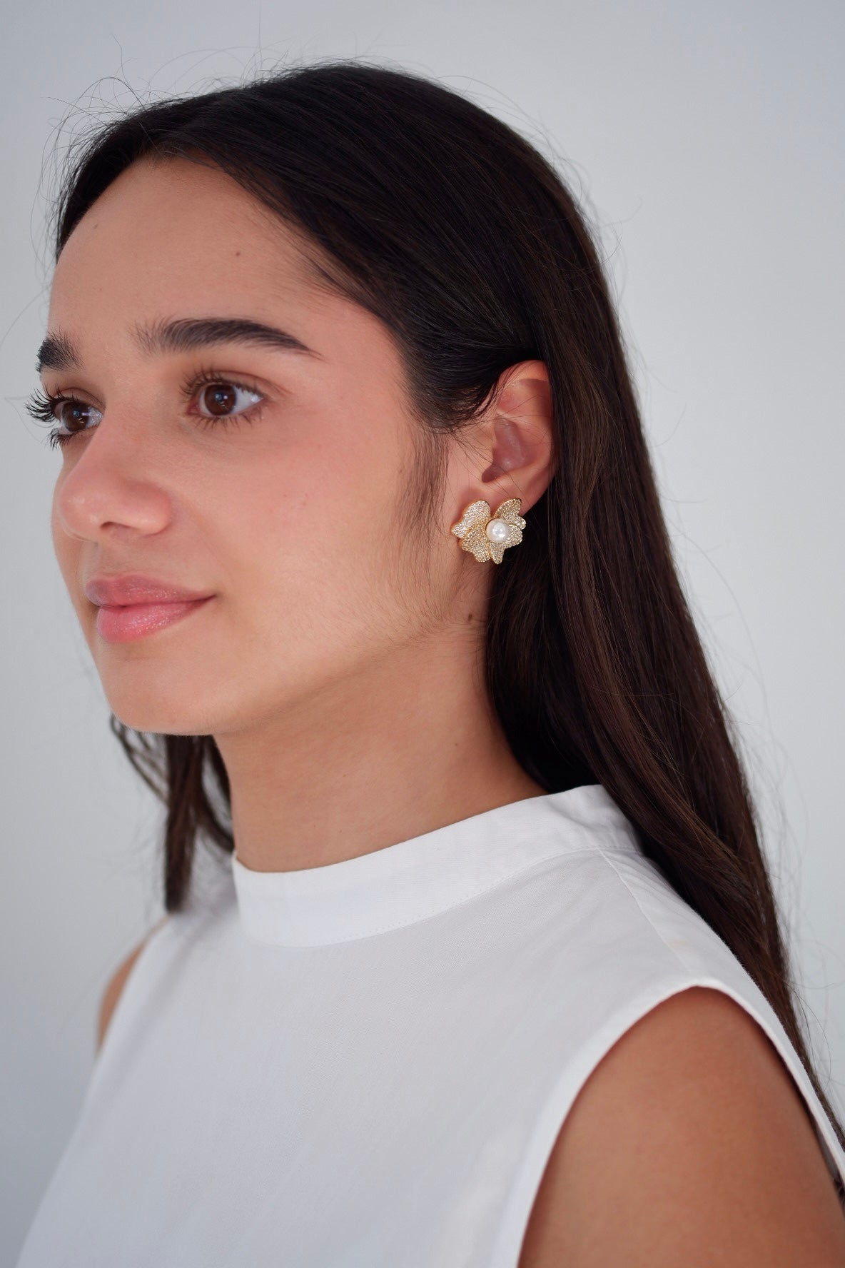 Aretes Francia