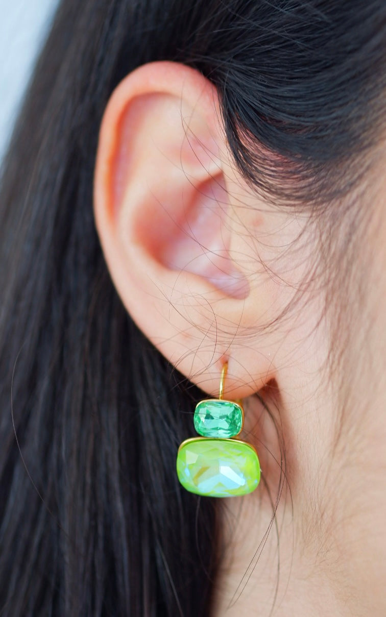 Aretes Zenia