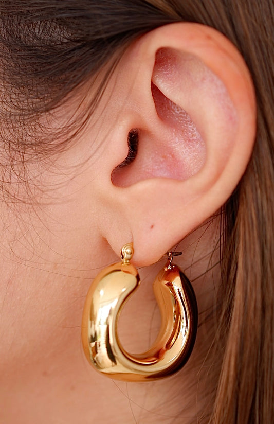 Aretes Leslie