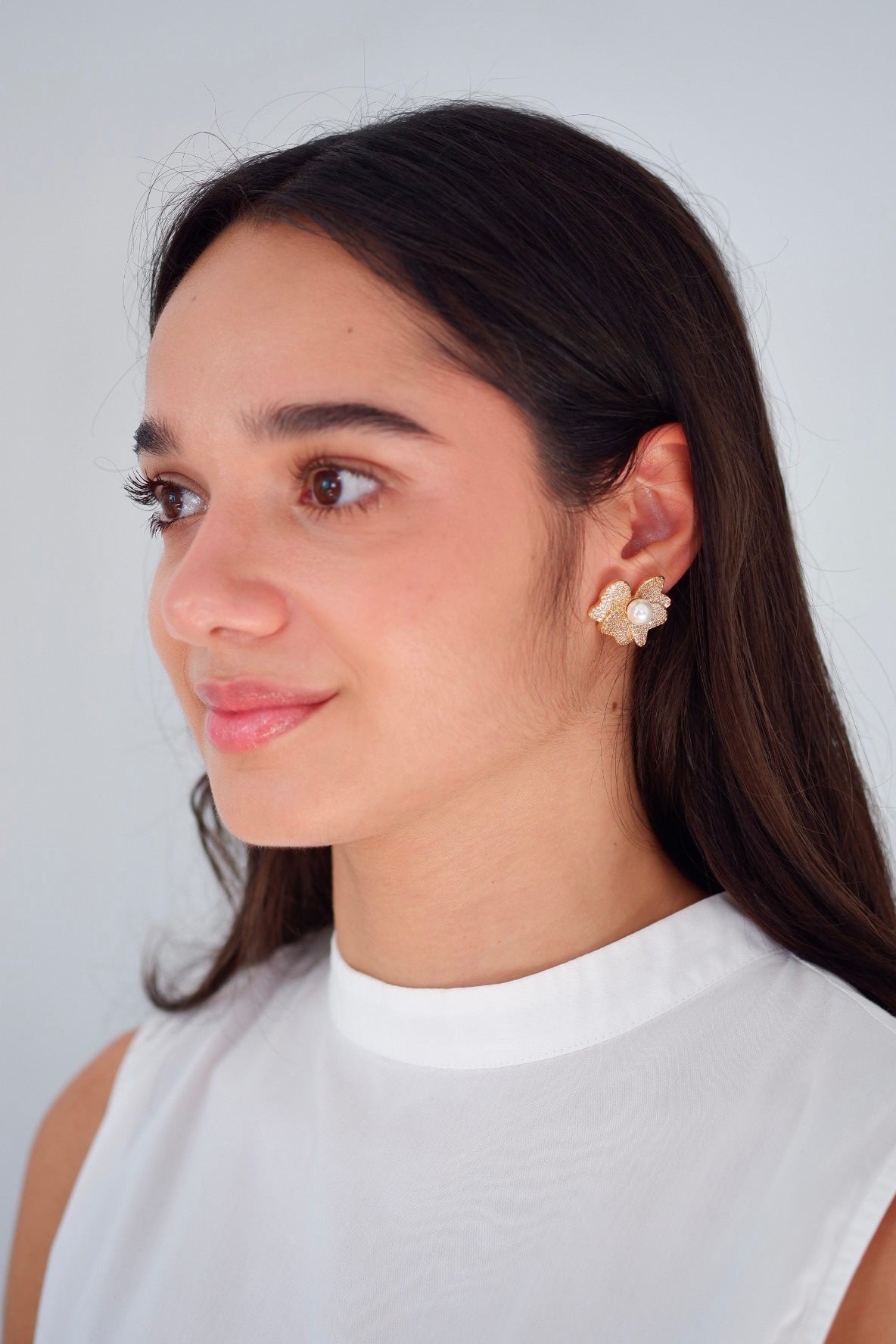 Aretes Francia
