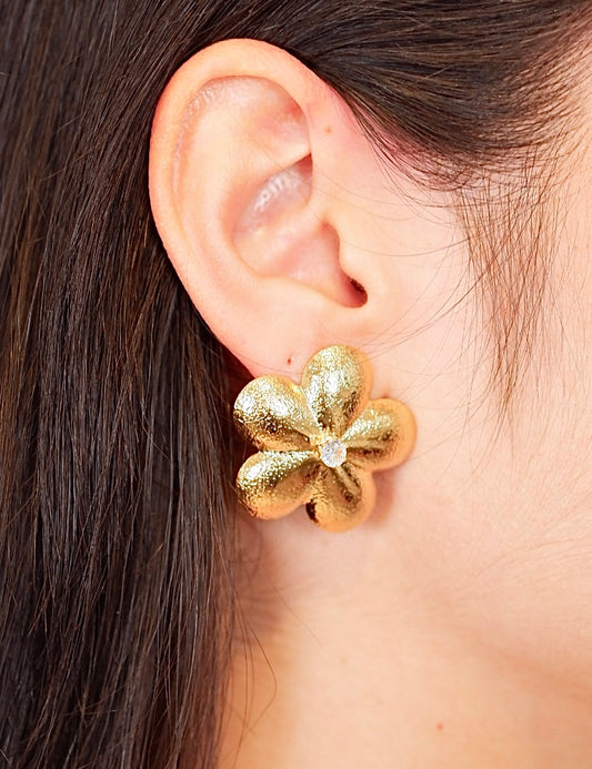 Aretes Leonor