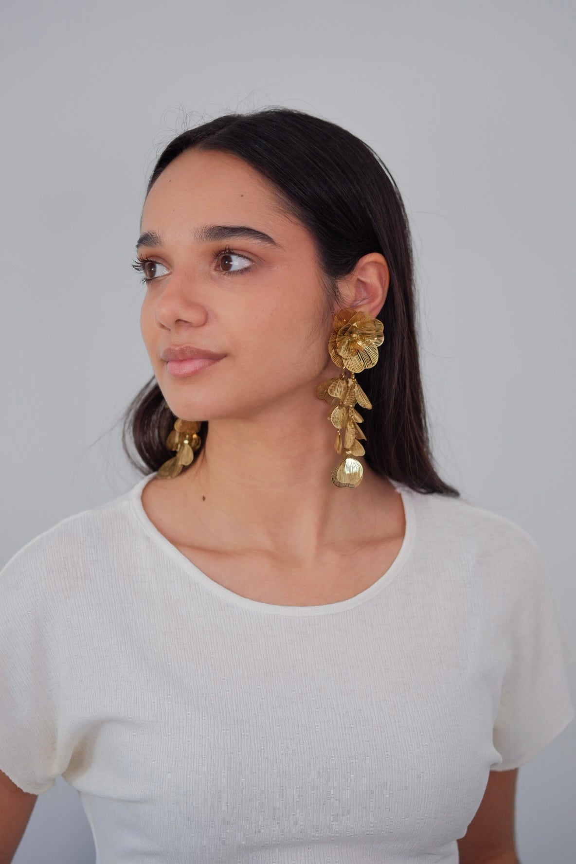Aretes Salome