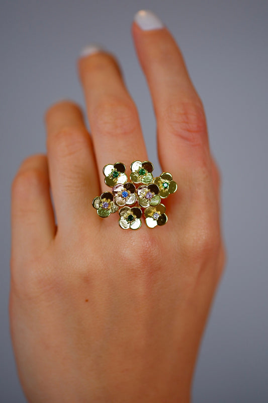 Anillo Vera