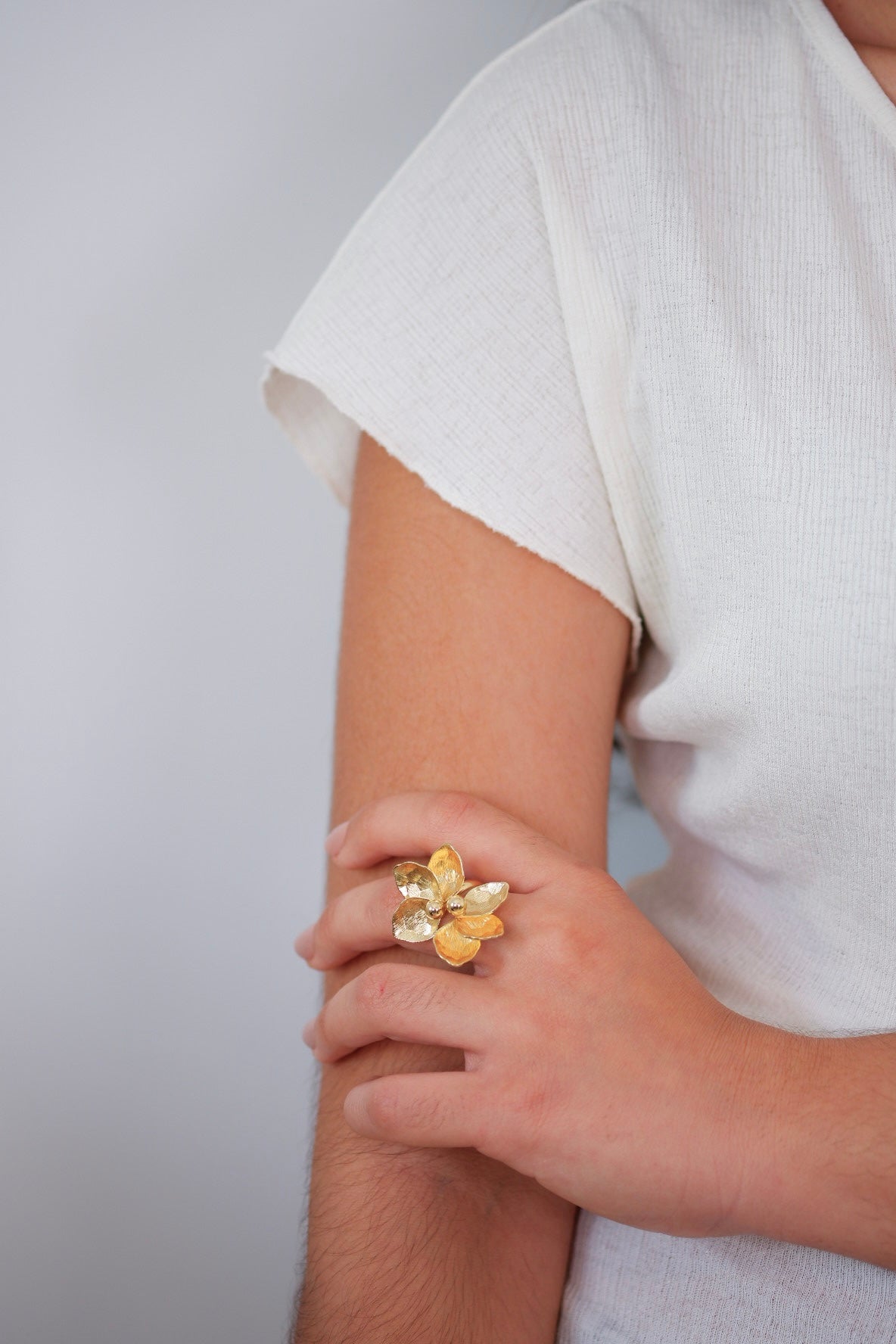 Anillo Alexa