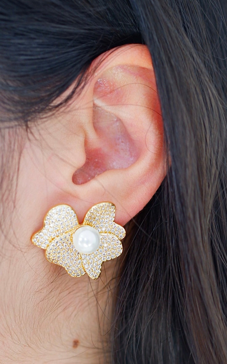 Aretes Francia