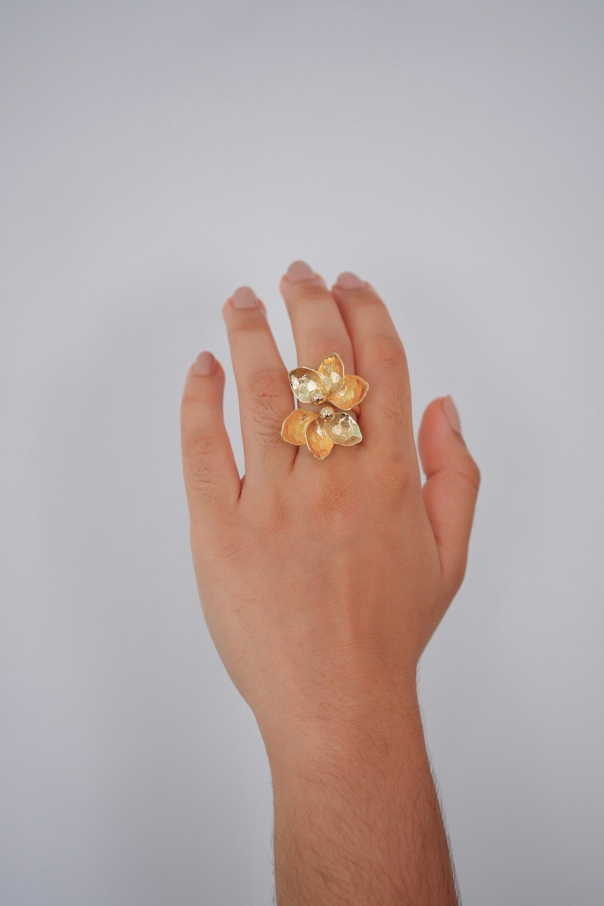 Anillo Alexa