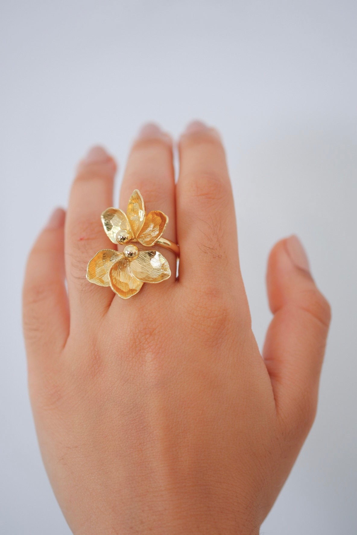 Anillo Alexa