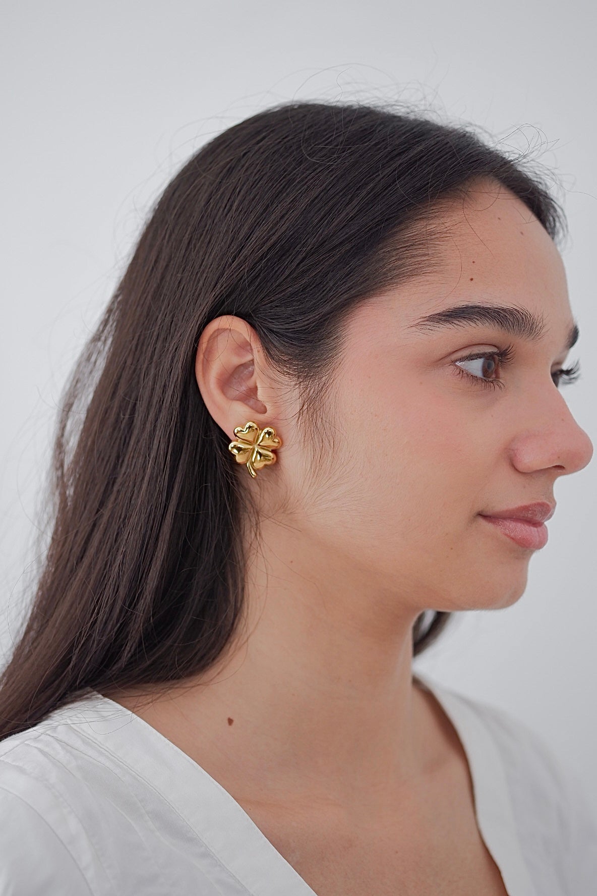 Aretes Leslie