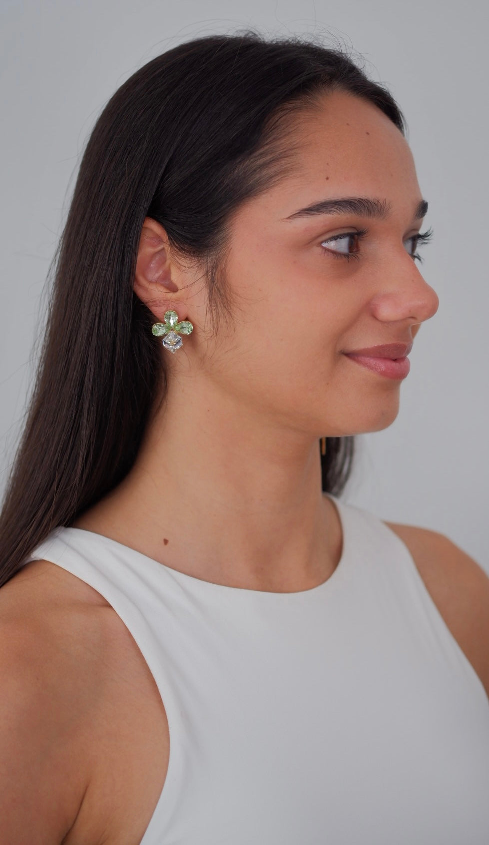 Aretes Dominique