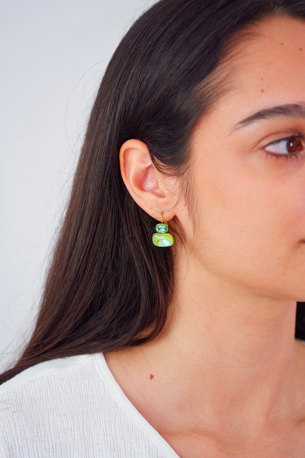 Aretes Zenia