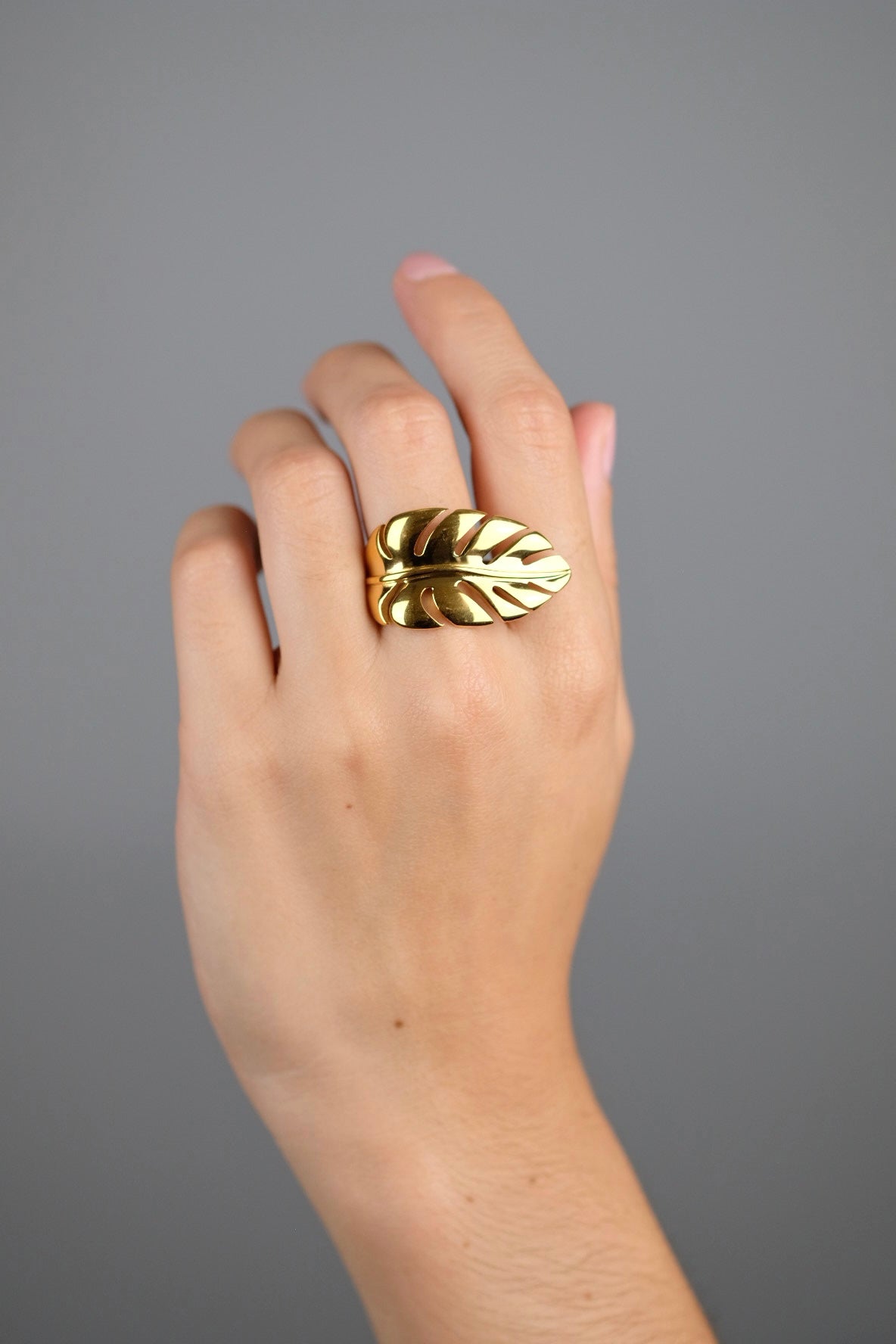 Anillo Lya