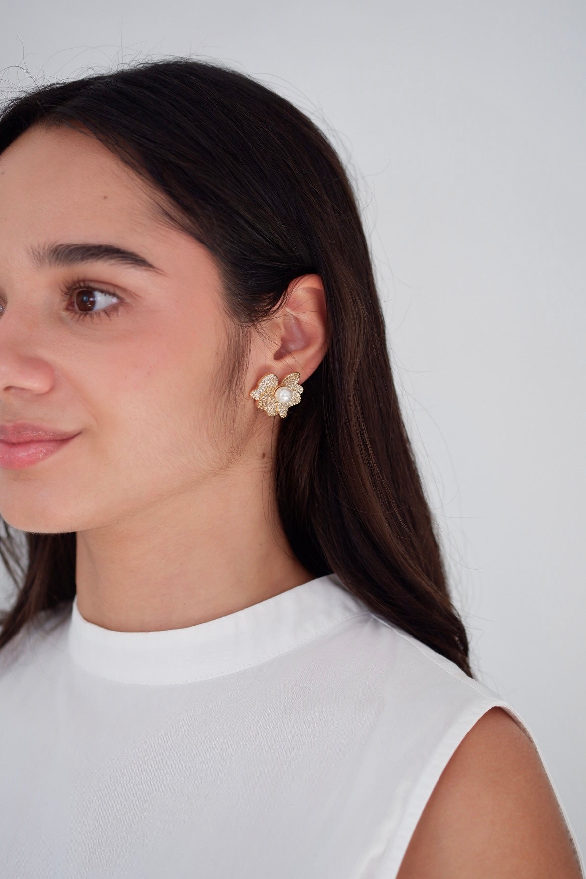 Aretes Francia