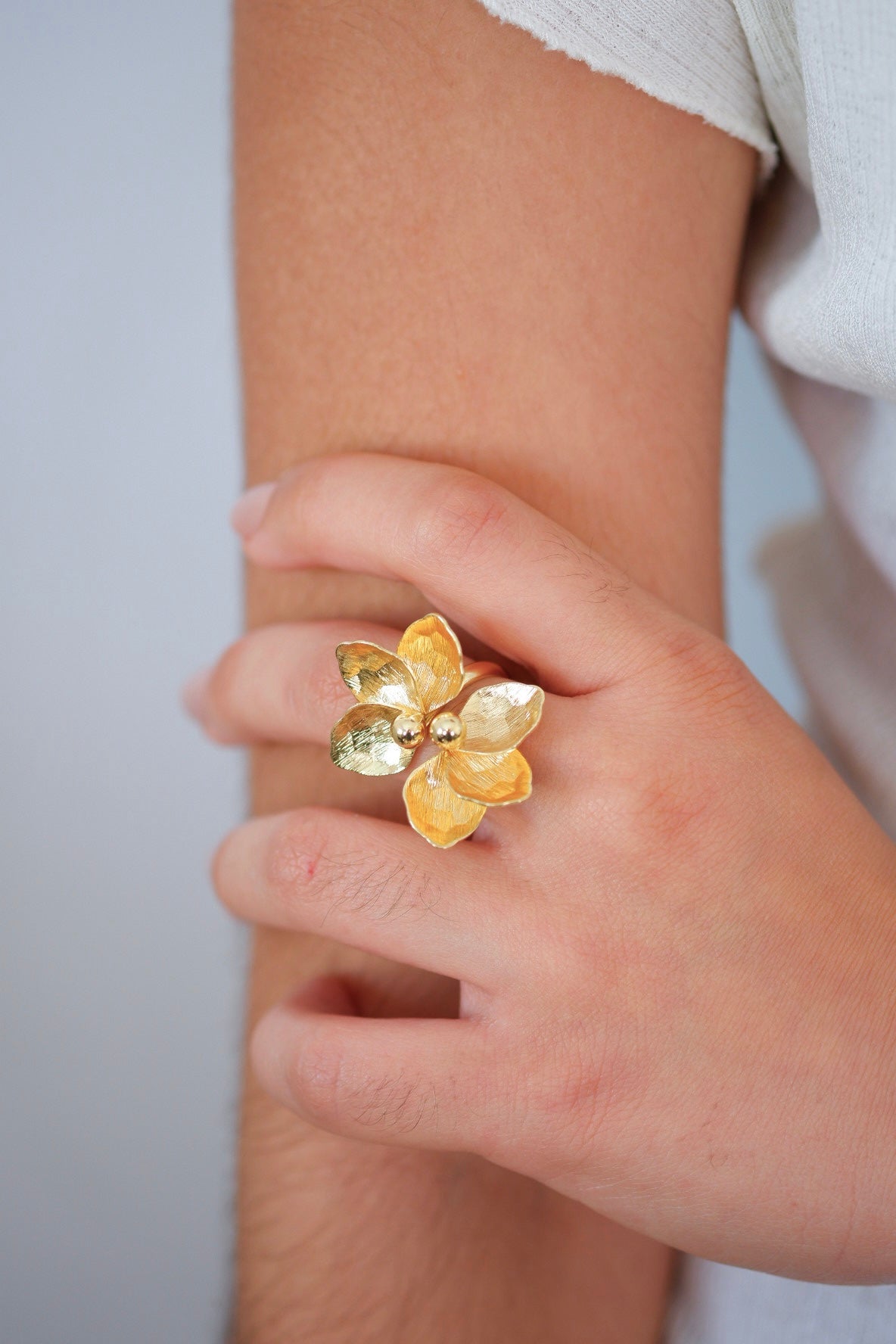 Anillo Alexa