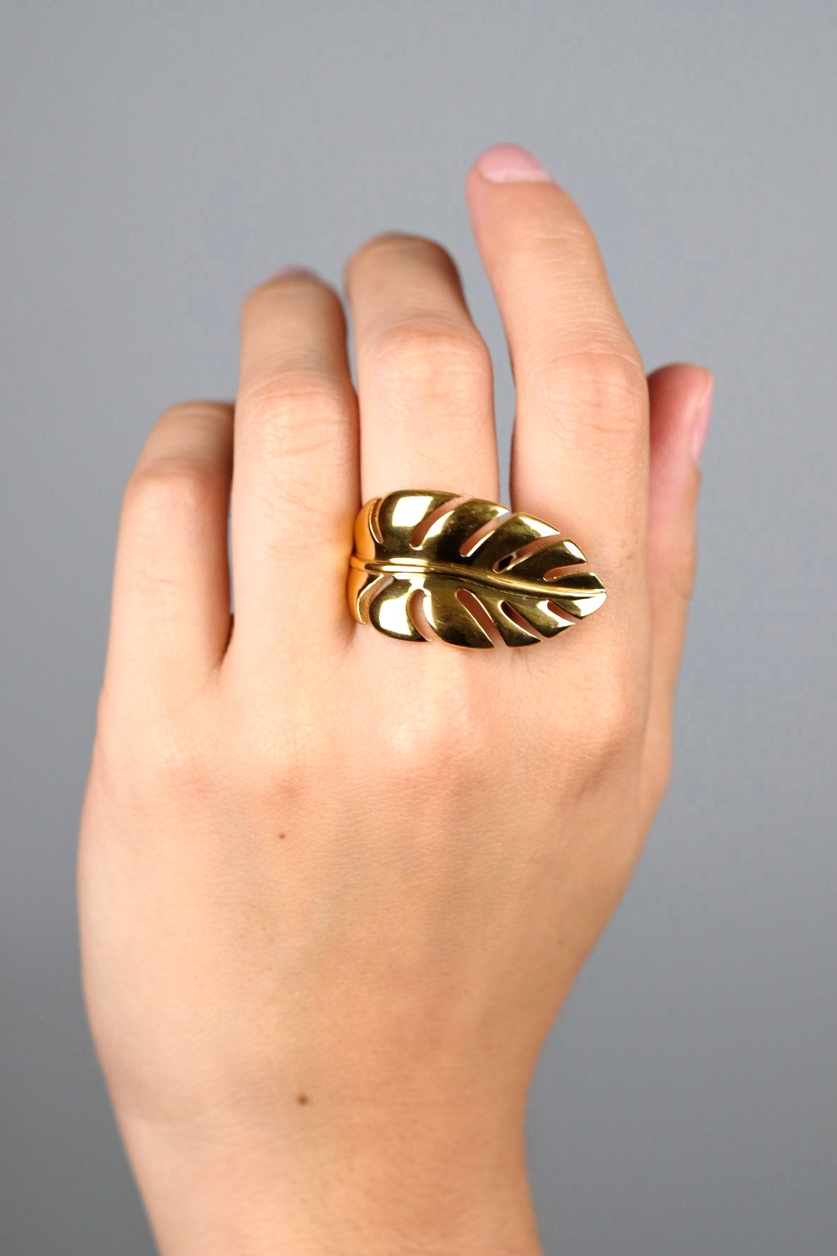 Anillo Lya