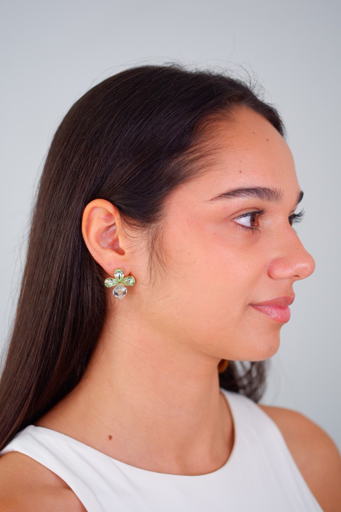 Aretes Dominique