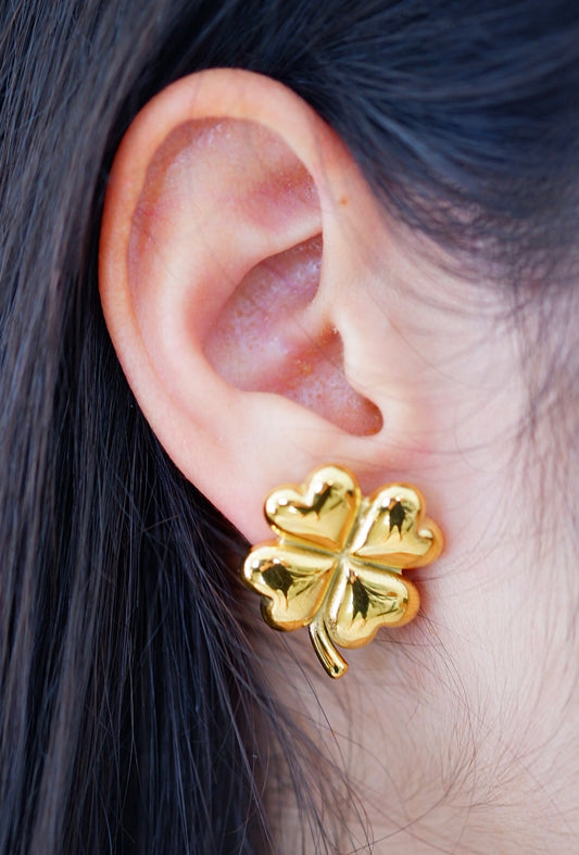 Aretes Leslie