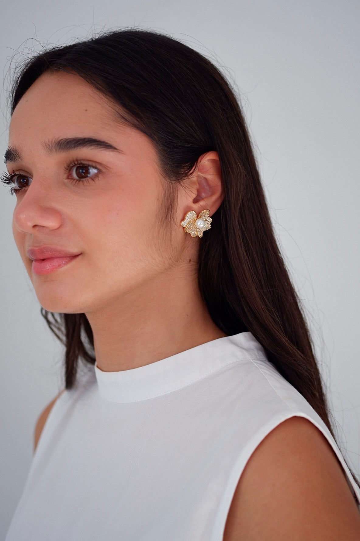 Aretes Francia
