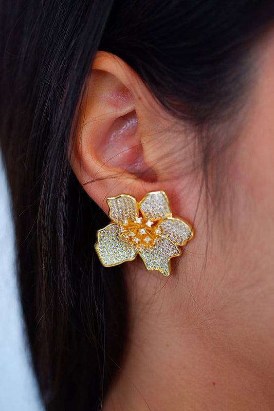 Aretes Francia