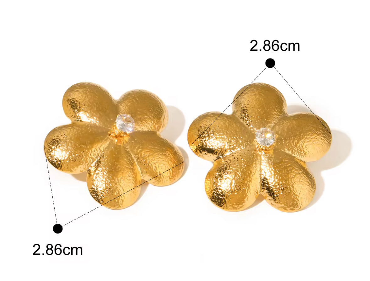 Aretes Leonor