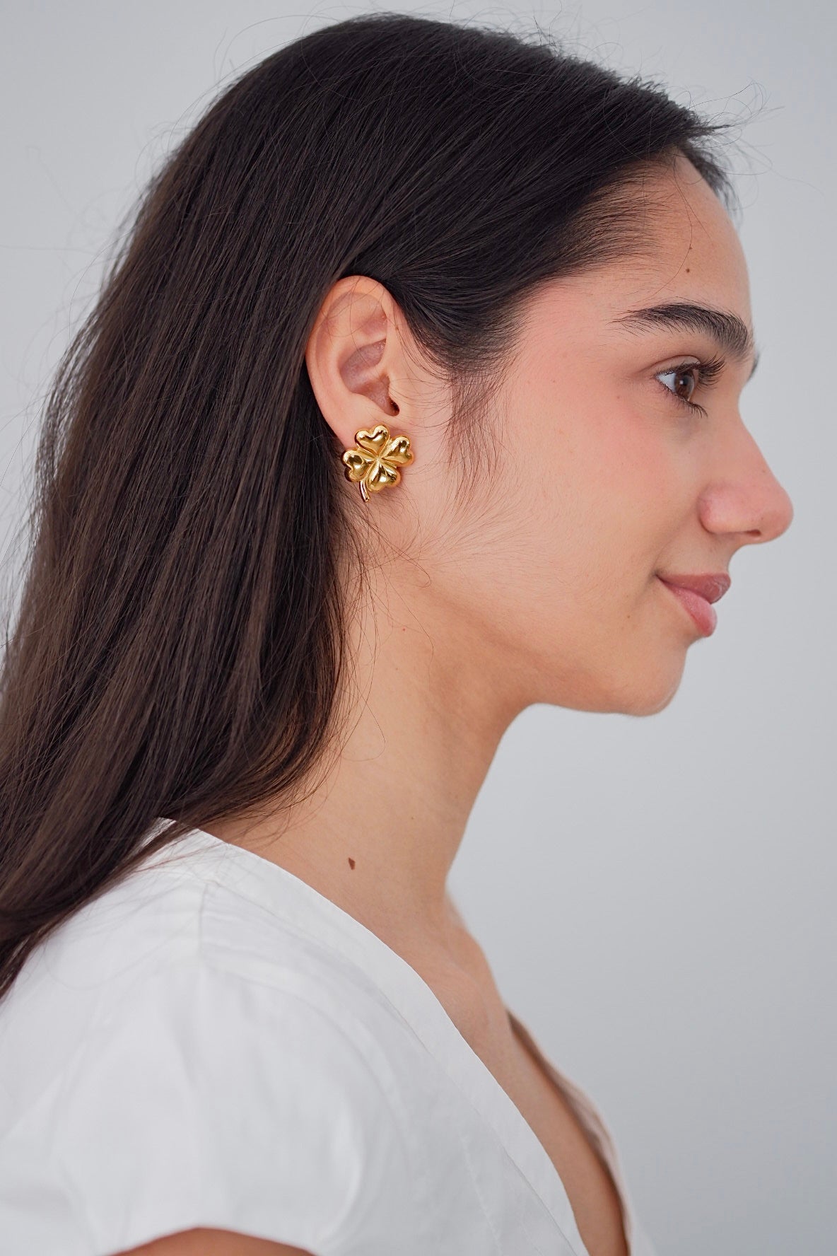 Aretes Leslie