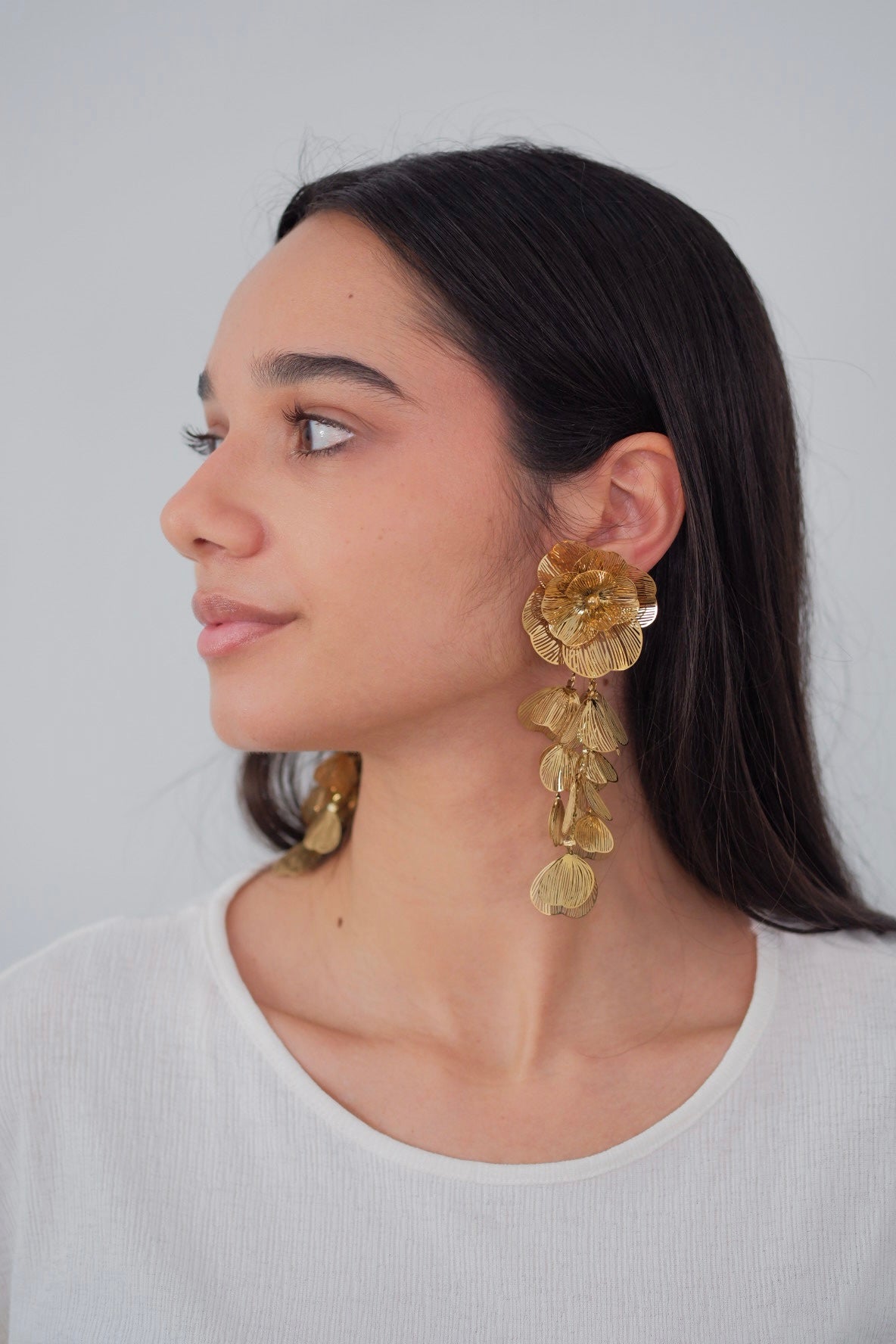 Aretes Salome
